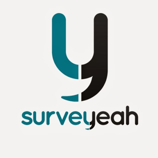 Panel sondaggi retribuiti: Surveyeah CopyBlogger